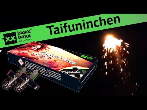 Taifuninchen (12er Schachtel)