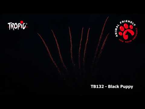 Black happy puppy (TB132) | Tierfreundlich